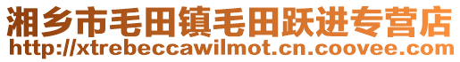 湘鄉市毛田鎮毛田躍進專營店