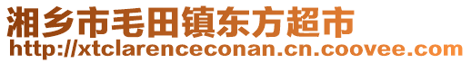 湘鄉(xiāng)市毛田鎮(zhèn)東方超市