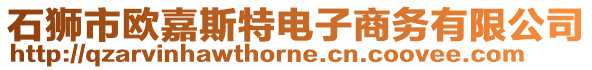 石獅市歐嘉斯特電子商務(wù)有限公司