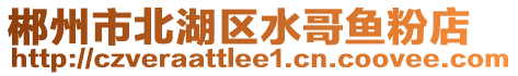 郴州市北湖區(qū)水哥魚(yú)粉店