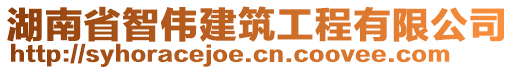 湖南省智伟建筑工程有限公司