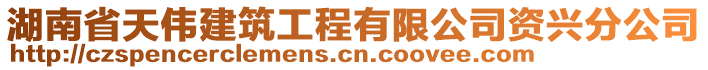 湖南省天偉建筑工程有限公司資興分公司