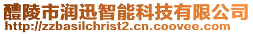 醴陵市潤(rùn)迅智能科技有限公司