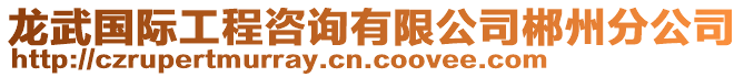 龍武國(guó)際工程咨詢(xún)有限公司郴州分公司