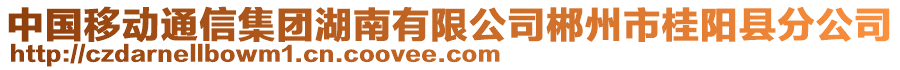 中國移動通信集團湖南有限公司郴州市桂陽縣分公司