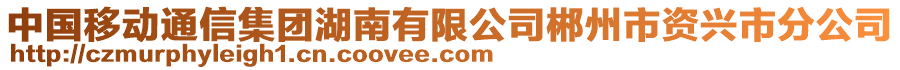 中國移動通信集團(tuán)湖南有限公司郴州市資興市分公司