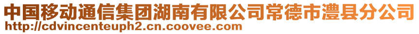 中國(guó)移動(dòng)通信集團(tuán)湖南有限公司常德市澧縣分公司