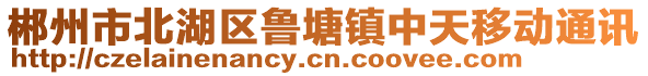 郴州市北湖區(qū)魯塘鎮(zhèn)中天移動通訊