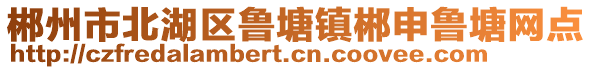 郴州市北湖區(qū)魯塘鎮(zhèn)郴申魯塘網(wǎng)點(diǎn)