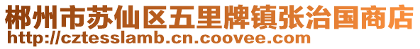 郴州市蘇仙區(qū)五里牌鎮(zhèn)張治國商店