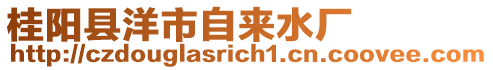 桂陽(yáng)縣洋市自來(lái)水廠