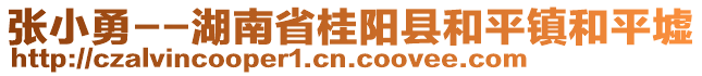 張小勇--湖南省桂陽縣和平鎮(zhèn)和平墟