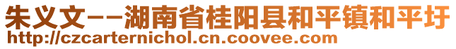 朱義文--湖南省桂陽(yáng)縣和平鎮(zhèn)和平圩