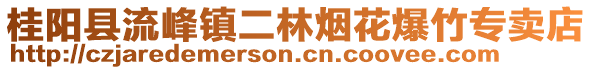 桂陽縣流峰鎮(zhèn)二林煙花爆竹專賣店