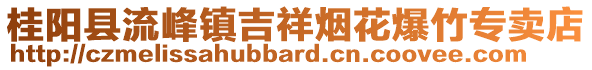 桂陽縣流峰鎮(zhèn)吉祥煙花爆竹專賣店