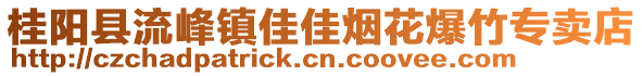 桂陽縣流峰鎮(zhèn)佳佳煙花爆竹專賣店