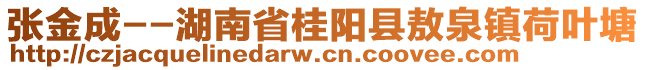 張金成--湖南省桂陽縣敖泉鎮(zhèn)荷葉塘