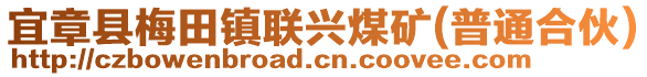 宜章縣梅田鎮(zhèn)聯(lián)興煤礦(普通合伙)