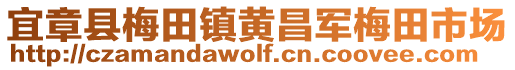 宜章縣梅田鎮(zhèn)黃昌軍梅田市場