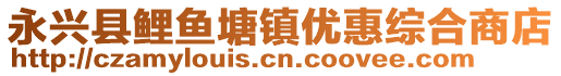 永興縣鯉魚(yú)塘鎮(zhèn)優(yōu)惠綜合商店