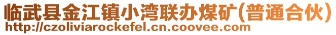 臨武縣金江鎮(zhèn)小灣聯(lián)辦煤礦(普通合伙)