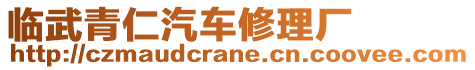 臨武青仁汽車修理廠