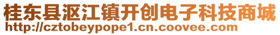 桂东县沤江镇开创电子科技商城