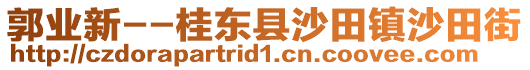 郭业新--桂东县沙田镇沙田街