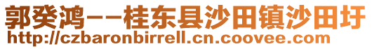 郭癸鸿--桂东县沙田镇沙田圩