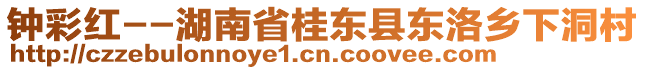 鐘彩紅--湖南省桂東縣東洛鄉(xiāng)下洞村