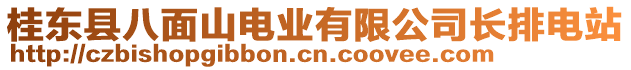 桂東縣八面山電業(yè)有限公司長排電站