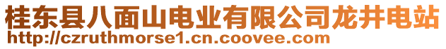 桂東縣八面山電業(yè)有限公司龍井電站