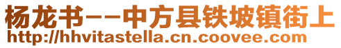 楊龍書--中方縣鐵坡鎮(zhèn)街上