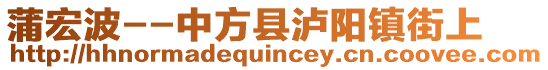 蒲宏波--中方县泸阳镇街上