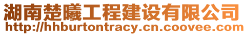 湖南楚曦工程建設(shè)有限公司