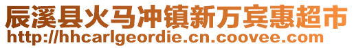 辰溪縣火馬沖鎮(zhèn)新萬賓惠超市