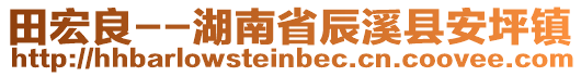 田宏良--湖南省辰溪县安坪镇