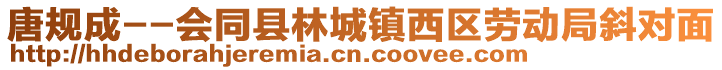 唐規(guī)成--會(huì)同縣林城鎮(zhèn)西區(qū)勞動(dòng)局斜對(duì)面