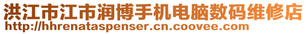 洪江市江市潤博手機(jī)電腦數(shù)碼維修店