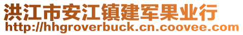 洪江市安江镇建军果业行