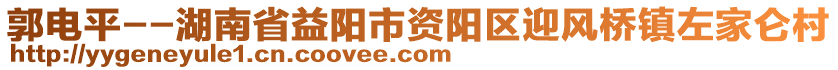 郭電平--湖南省益陽(yáng)市資陽(yáng)區(qū)迎風(fēng)橋鎮(zhèn)左家侖村