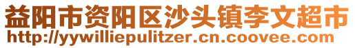 益陽市資陽區(qū)沙頭鎮(zhèn)李文超市