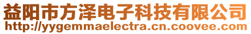 益陽市方澤電子科技有限公司