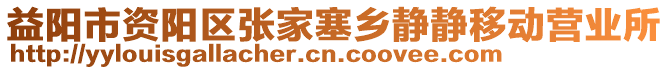 益陽市資陽區(qū)張家塞鄉(xiāng)靜靜移動(dòng)營業(yè)所