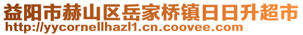 益陽市赫山區(qū)岳家橋鎮(zhèn)日日升超市