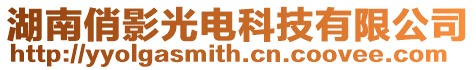湖南俏影光電科技有限公司