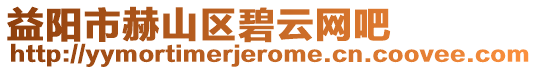 益陽市赫山區碧云網吧