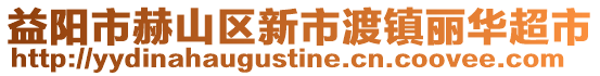 益陽市赫山區(qū)新市渡鎮(zhèn)麗華超市