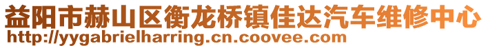 益陽市赫山區(qū)衡龍橋鎮(zhèn)佳達汽車維修中心