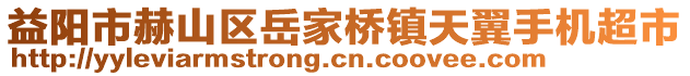 益陽市赫山區(qū)岳家橋鎮(zhèn)天翼手機超市